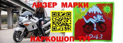 гидра Донской