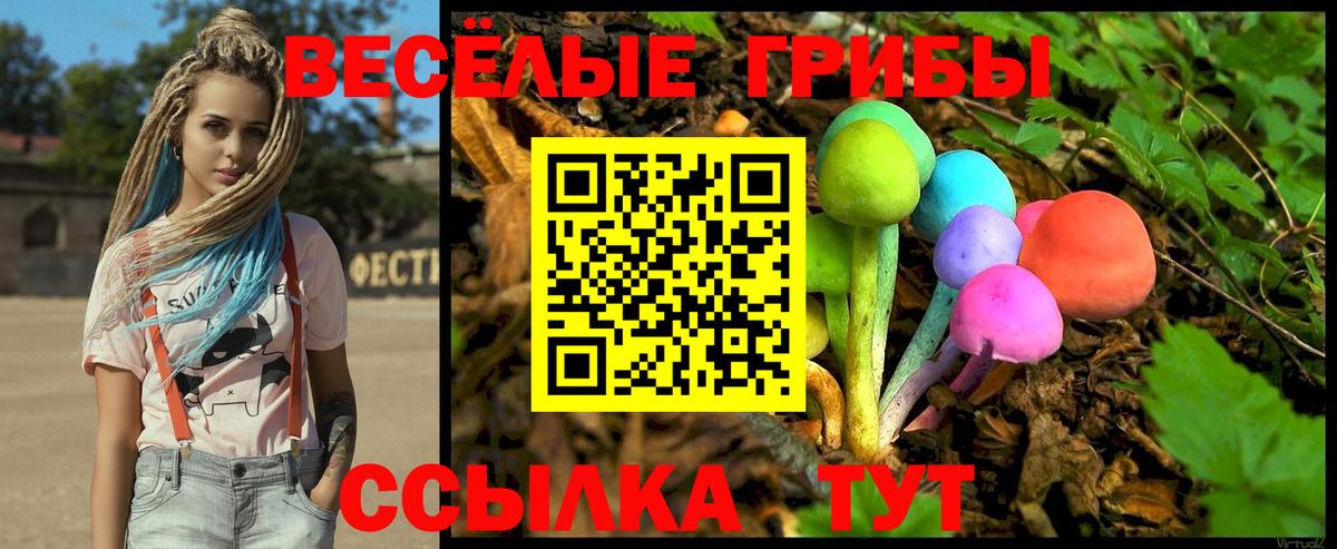 Галлюциногенные грибы Cubensis  Псилоцибиновые грибы Cubensis  Всеволожск  где купить   Вход с VPN 
